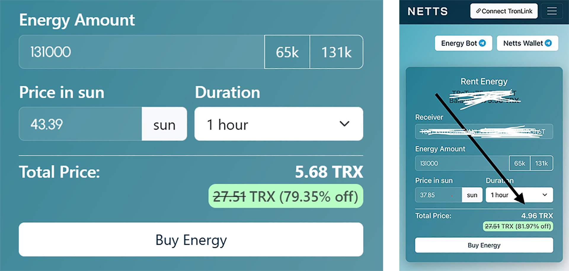 Netts web form
