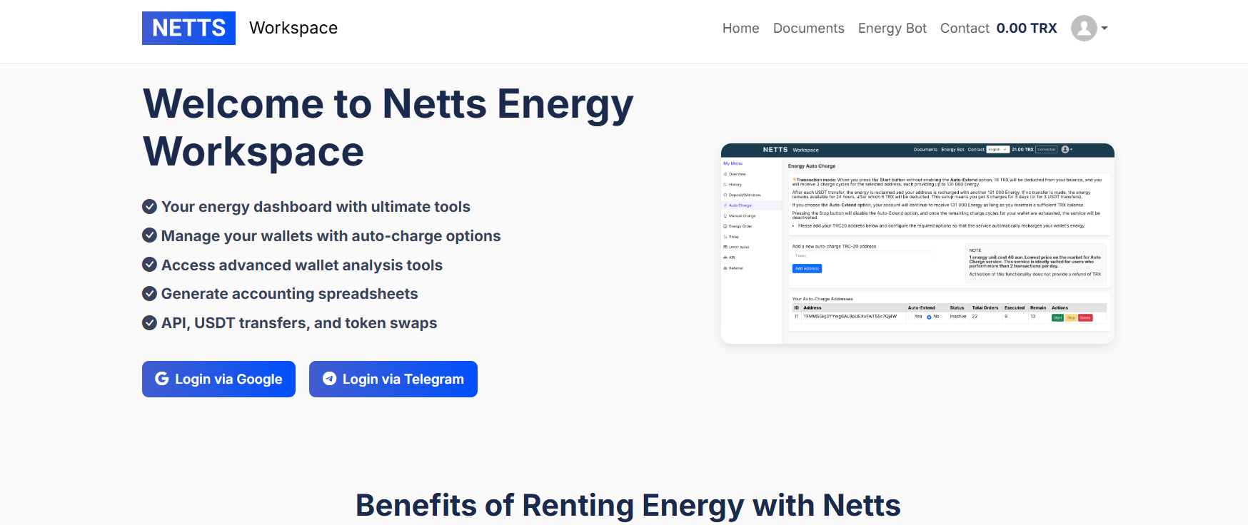 Netts web form