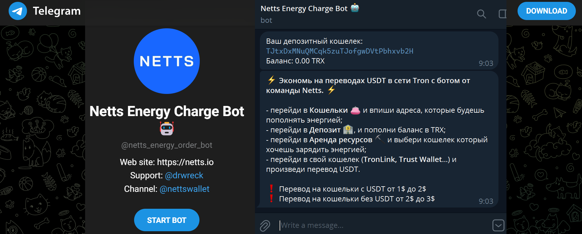 Netts web form